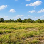 Questions to Ask Before Selling Vacant Land in Houston