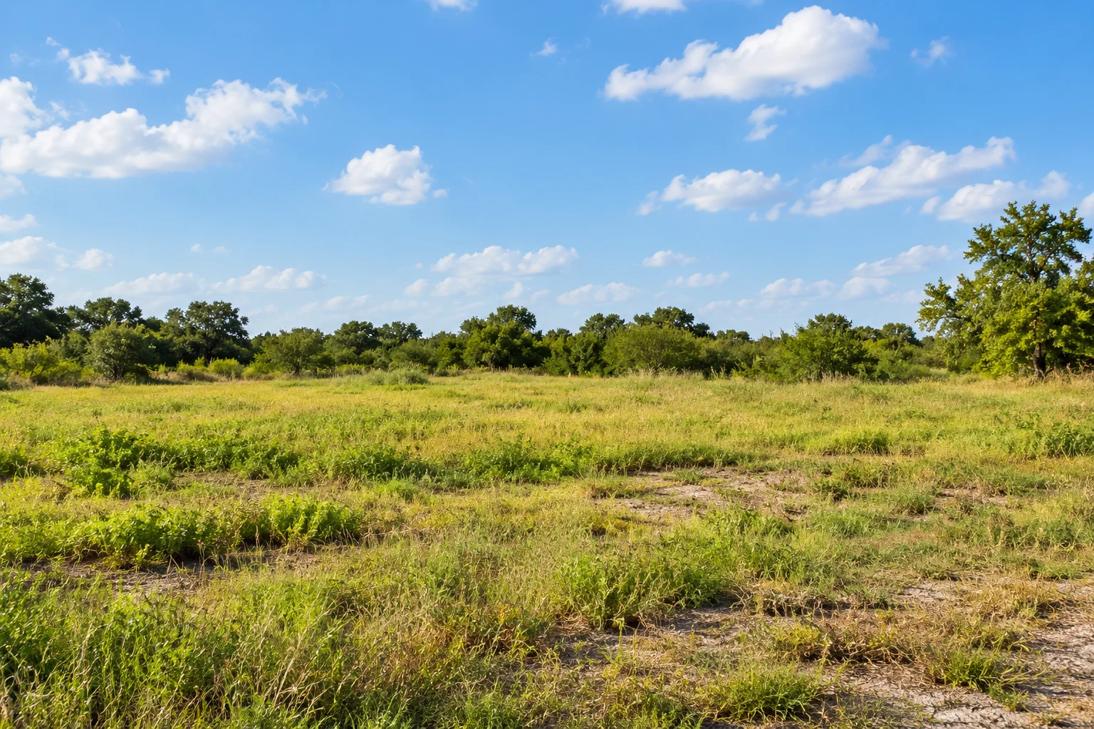 Questions to Ask Before Selling Vacant Land in Houston