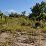 Signs It May Be Time to Sell Your Vacant Land in Houston