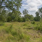 Things You Can Do With Inherited Land in Houston