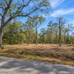 Land Won't Sell in Houston? 8 Options to Consider