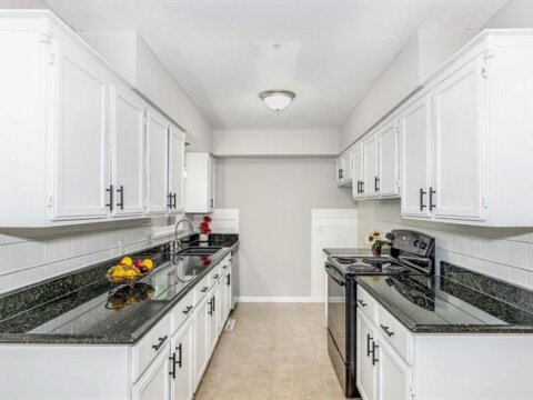 Kitchen with built in cabinets