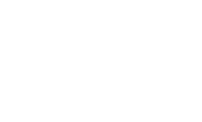 Wholesale King logo