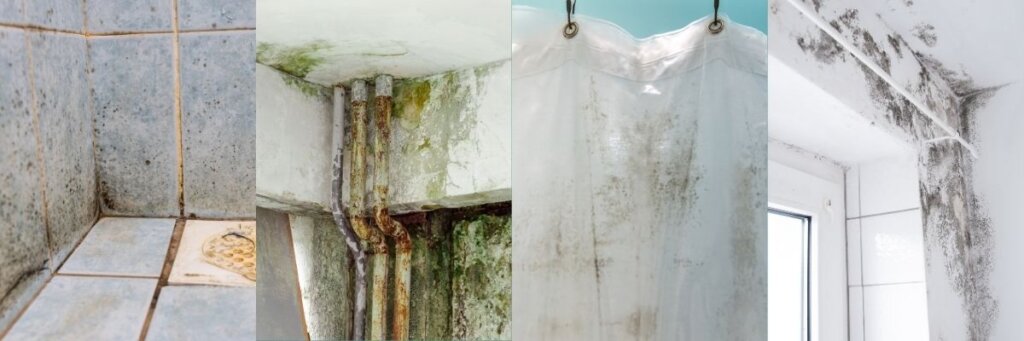 selling a house with mold