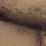 sell your house with mol in california