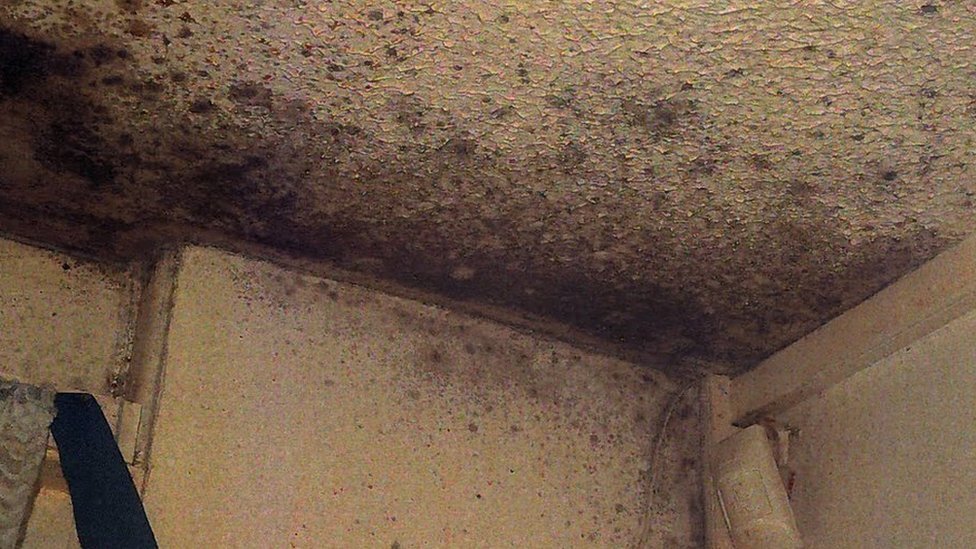 selling a house with mold in california