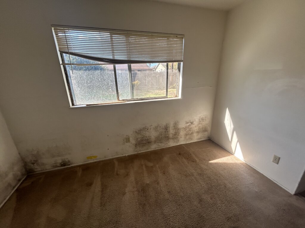 Mold Home bought by Quick Home Offers - picture shows mold on the drywall under a bedroom window