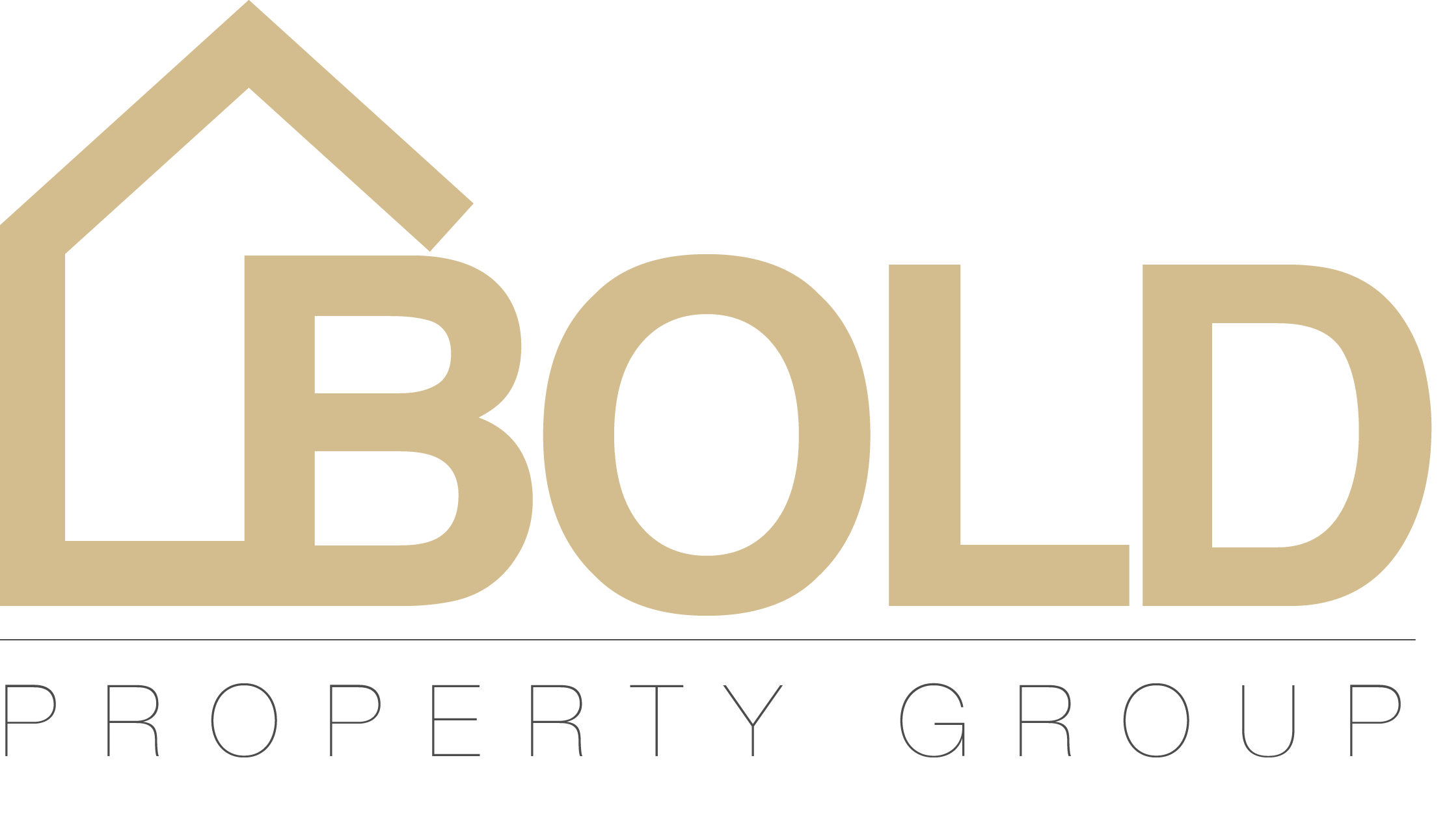 Bold Property Group logo