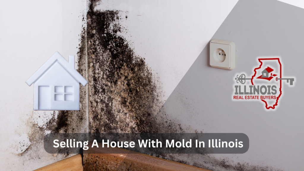 Can You Sell A House With Mold In Illinois