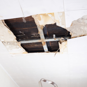 Selling a House Affected by Water Damage In Illinois
