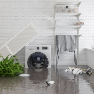 Selling a Water Damaged House In Illinois