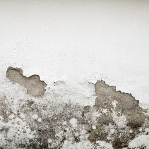Damage on Property by Tenant In Illinois