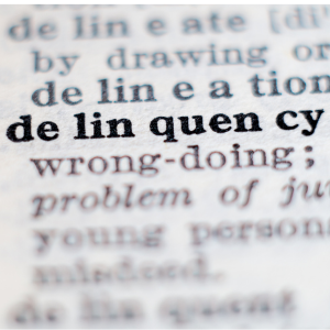 HOA Dues Past Due Illinois