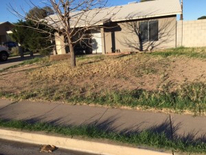 We'll Buy Your House AS-IS Mesa House