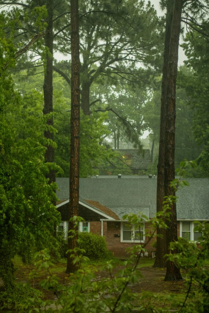 Home surrounded by mature trees