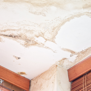 Selling a Water Damaged House Fast In Nebraska