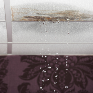 Selling a Water Damaged House In Nebraska