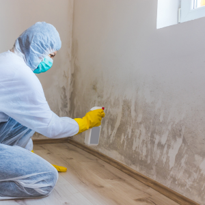 Selling a Home with Mold A Step by Step Guide Missouri
