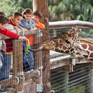 Fun Things to Do with Kids In Wichita