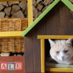 How to Sell a Home with Pets Kansas City, MO