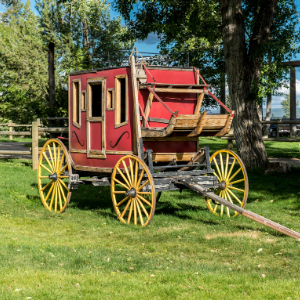 Activities for families Olathe