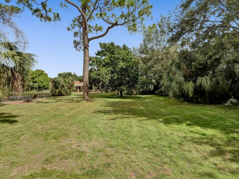 yard