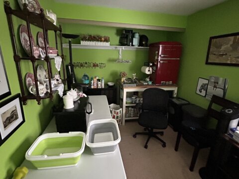 Just Purchased in Waterdown 18