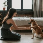 pet-friendly apartment