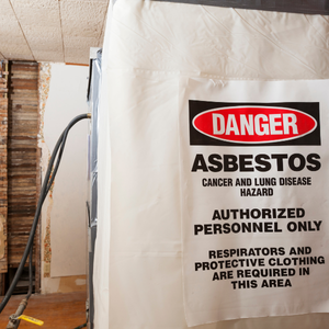 Asbestos Removal Expenses