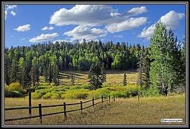 A Practical Walkthrough of Arizona’s Probate Process: What You Need to Know