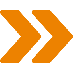 Double Arrow bullet point