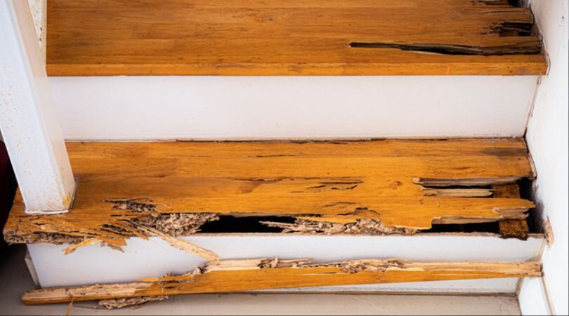 Selling A House With Pet Damage In Michigan