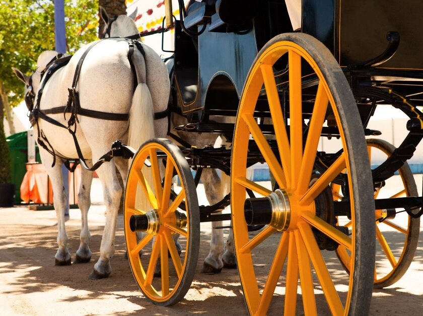 two horses pulling a wagon at the renaissance festival in Magnolia Texas