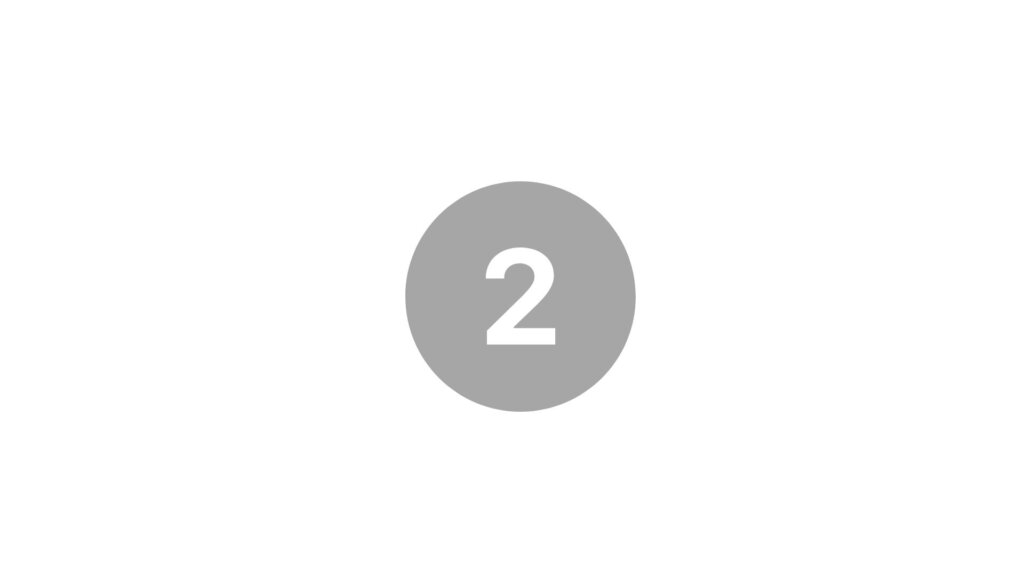 bullet point 2