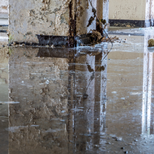 Sell House Cash Fast with water damage New Jersey