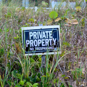 Squatters' Rights New Jersey