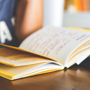 Neighborhood Guide Map Trenton