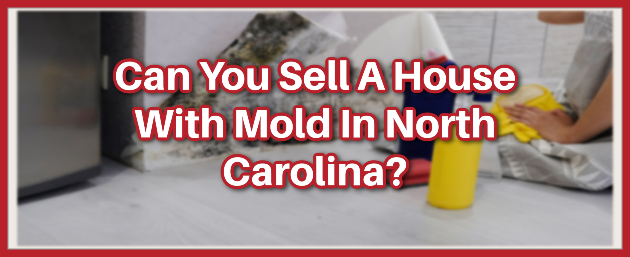 How to Sell a House With Molds in Charlotte North Carolina