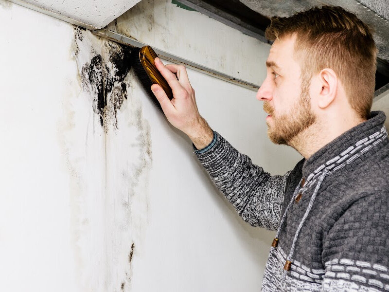 Sell House With Molds in Charlotte North Carolina