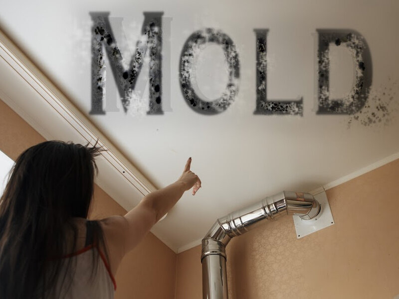 Sell Your House With Molds in Charlotte North Carolina