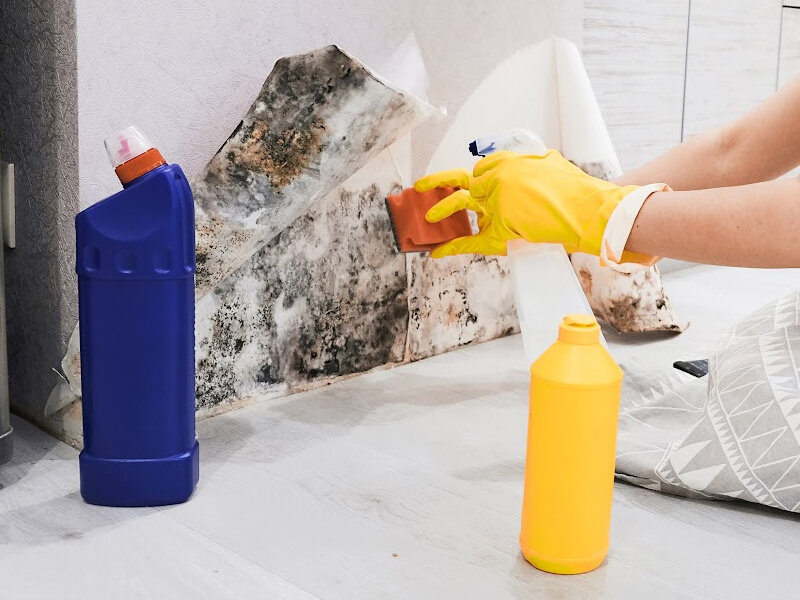 We Buy House With Molds in Charlotte North Carolina