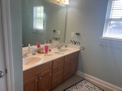 1013 Stevens Pride Ct, Indian Trail, 