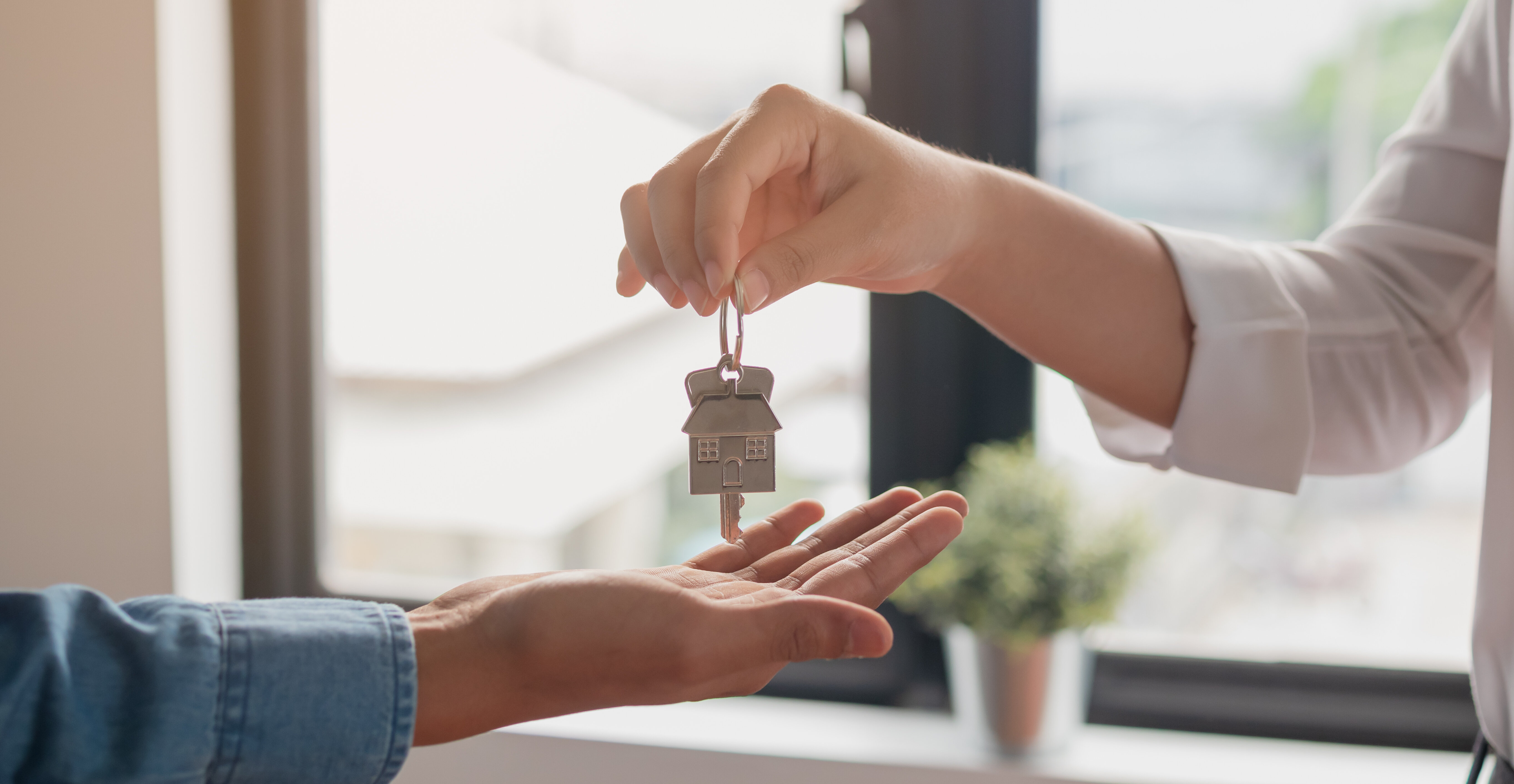 what to know about tenant screening