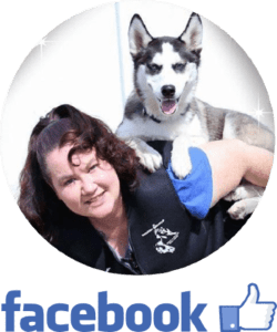 kim mayes facebook review