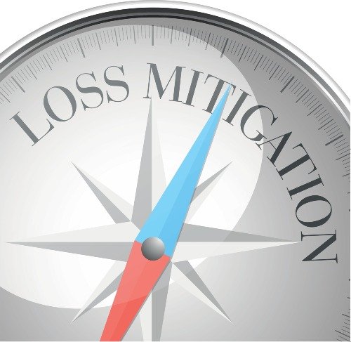 loss mitigation period