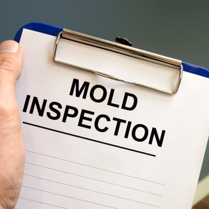 Problems Caused by Mold in Houses North Carolina