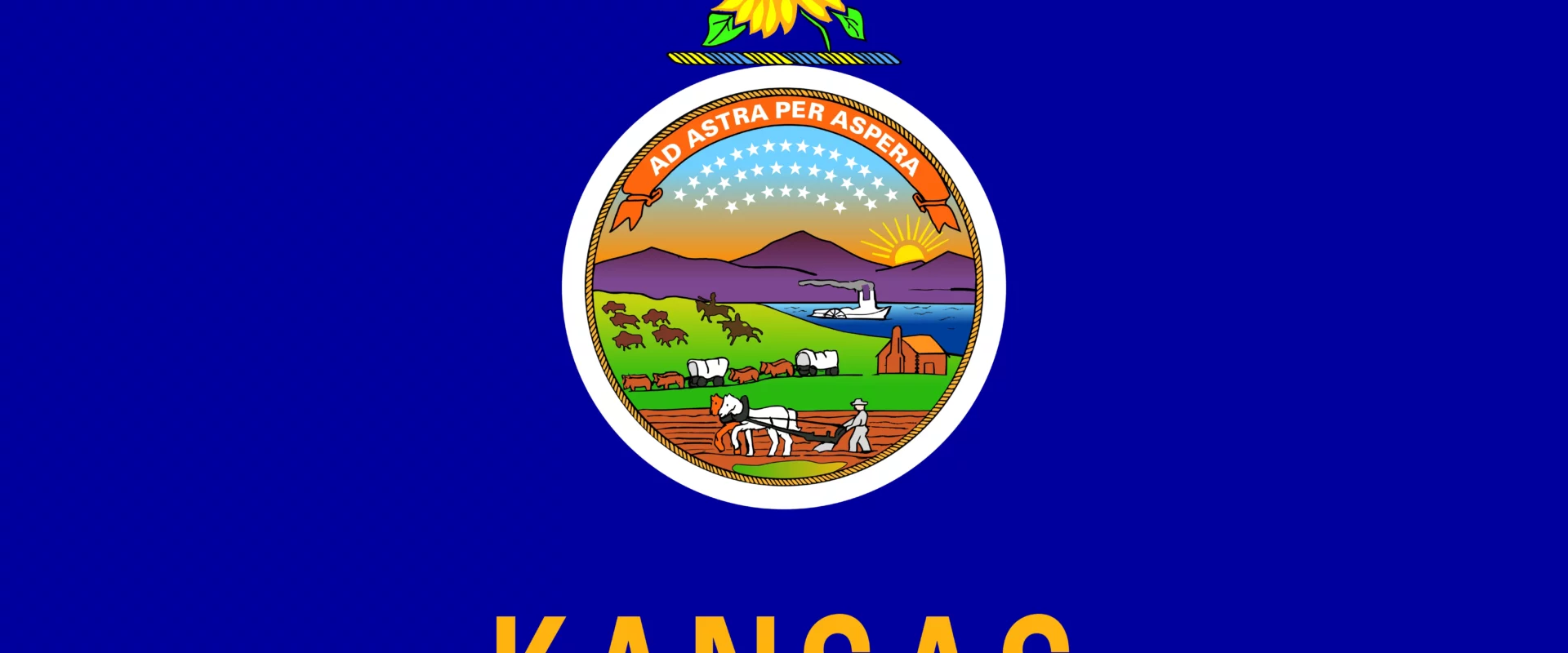 Kansas State flag