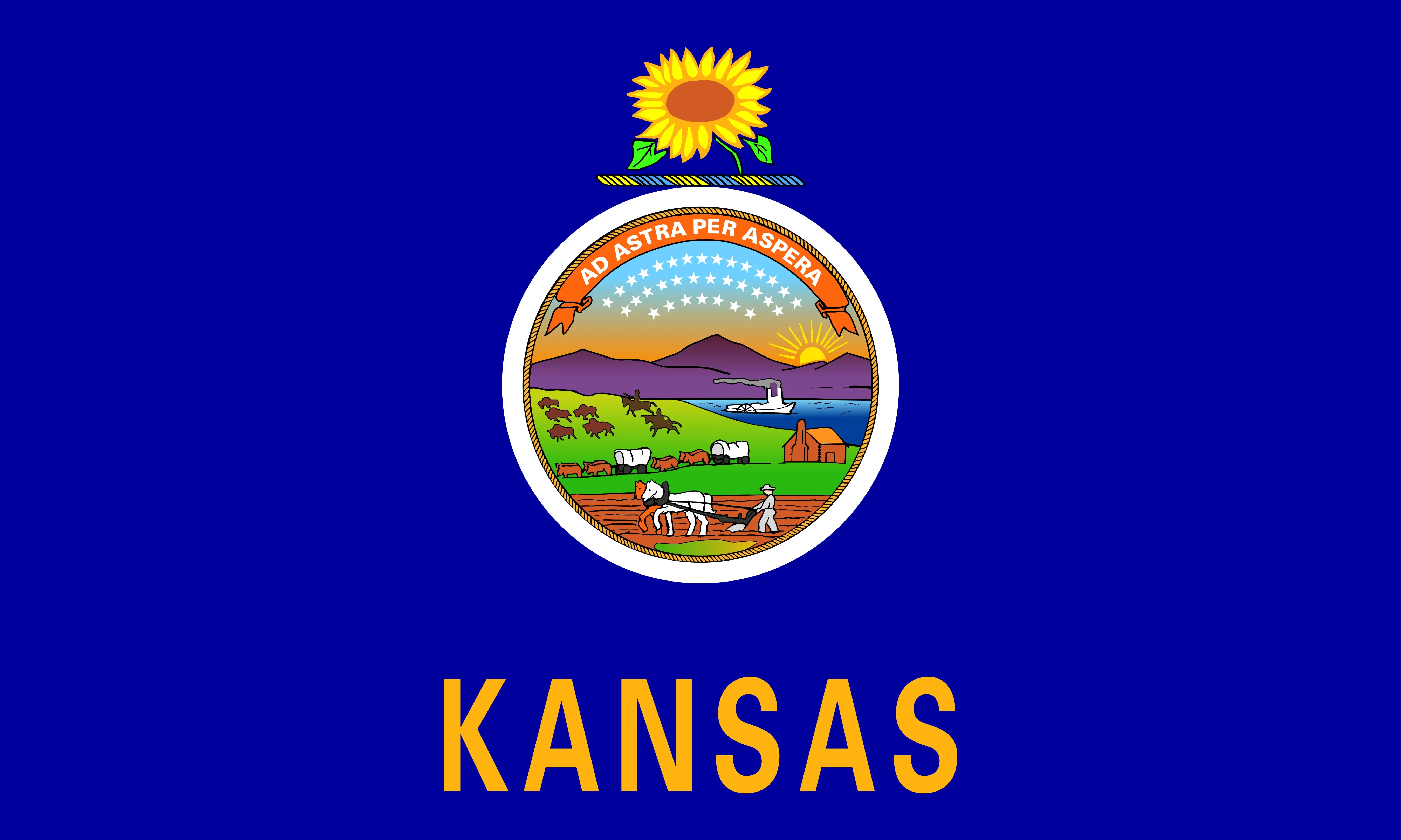 Kansas State flag
