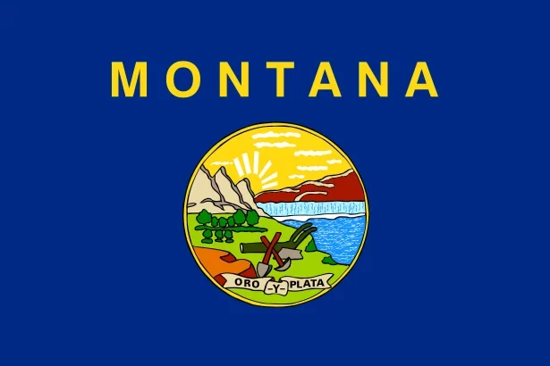 Montana State flag