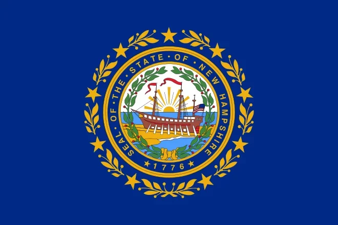 New hampshire State flag